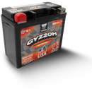 Yuasa GYZ20H High Performance Maintenance Free AGM 12 Volt Battery-1