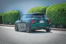 CTS Turbo F55/F56 Mini Cooper/Cooper S/JCW Lowering Springs-5