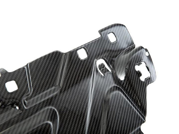 AutoTecknic Dry Carbon Fiber Cooling Plate - BMW / G20 3-Series