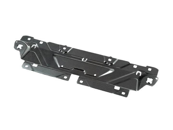 AutoTecknic Dry Carbon Fiber Cooling Plate - BMW / G20 3-Series