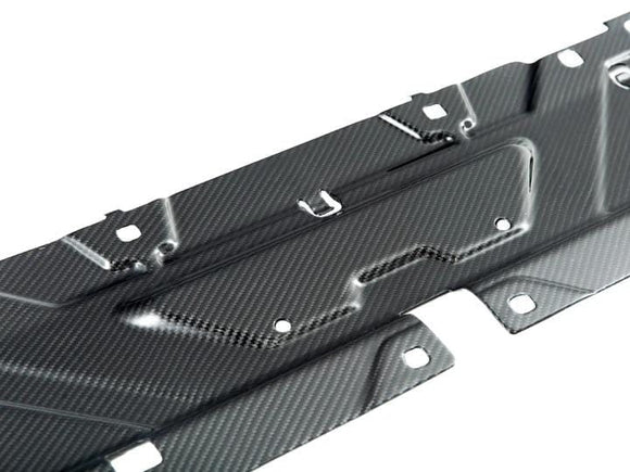 AutoTecknic Dry Carbon Fiber Cooling Plate - BMW / G20 3-Series