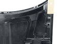 Anderson Composites 98-02 Pontiac Trans Am Type-OE Hood-9