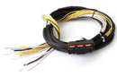 Haltech HPI8 High Power Igniter 2m Flying Lead (Loom Only)-1