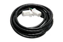 Haltech CAN Cable 8 Pin White Tyco to 8 Pin White Tyco 300mm (12in)-1