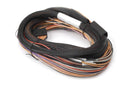 Haltech IO 12 Expander Box 8ft Flying Lead Harness (A/B Box)-1