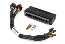 Haltech 00-04 Honda S2000 (AP1/2005 AP2) Elite 1000/1500 Plug-n-Play Adaptor Harness-1