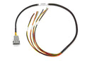 Haltech Mazda 13B (S4/5 CAS w/Flying Lead Ignition) Elite 1000 Terminated Harness-2