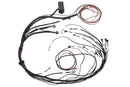Haltech Mazda 13B (S4/5 CAS w/IGN-1A Ignition) Elite 1000 Terminated Harness-1
