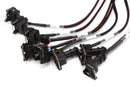 Haltech GM GEN III LS1 & LS6 (Non DBW) Elite 2000/2500 Terminated Harness w/EV1 Injector Connectors-2