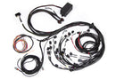 Haltech Ford Falcon BA/BF Barra 4.0 Elite 2500 Terminated Harness w/EV1 Injector Connectors-1
