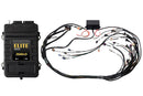 Haltech Elite 2000 Terminated Harness ECU Kit w/ EV6 Injector Connectors-1