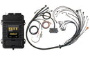 Haltech Elite 2000 Terminated Harness ECU Kit w/ EV1 Injector Connectors-1