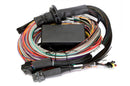 Haltech Elite 2500 16ft Premium Universal Wire-In Harness ECU Kit-2