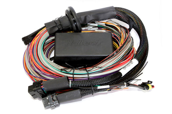 Haltech Elite 2500 Premium Universal Wire-In Harness ECU Kit