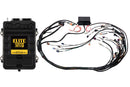 Haltech Elite 2500 Adaptor Harness ECU Kit-1