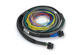 Haltech NEXUS S2/S3 Universal Wire-In Harness Kit - 2.5M (8ft)