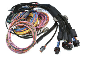 Haltech NEXUS R5 + Universal Wire-In Harness Kit - 5M (16ft) - 0