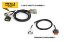 Haltech NEXUS Rebel JZ/Cable Throttle/EV1 Injectors/Manual Transmission-3