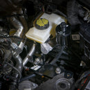 CTS TURBO 8V AUDI RS3 DSG CATCH CAN-4