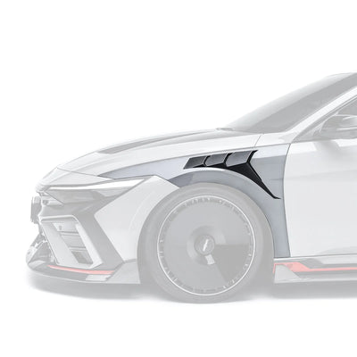 HYUNDAI ELANTRA N PE FINAL EDITION CARBON FIBER FRONT FENDERS