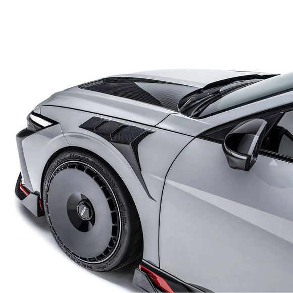 HYUNDAI ELANTRA N PE FINAL EDITION CARBON FIBER FRONT FENDERS