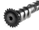 IE Street/Race Intake Camshaft For VW/Audi 1.8T 20V engines-2