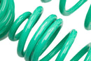 IE Lowering Springs for Audi B9 & B9.5 A4 & S4-6