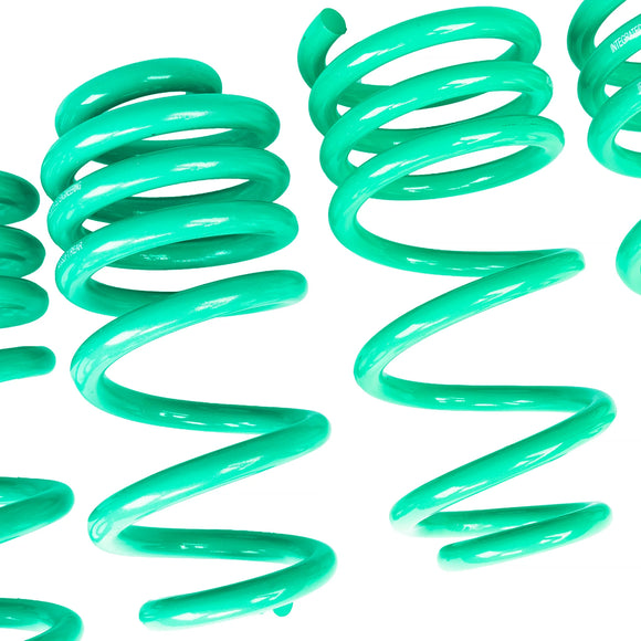 iE Lowering Springs for Audi B10 S5