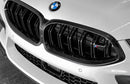 AUTOTECKNIC Replacement Dry Carbon Grille Surrounds - BMW F91/ F92/ F93 M8-5