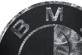 Fabspeed Carbon Fiber Wall Art - BMW - 0