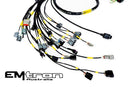 Rywire Honda K-Series (w/Emtron KV8 ECU) Engine Harness w/Chassis Specific Adapter-1