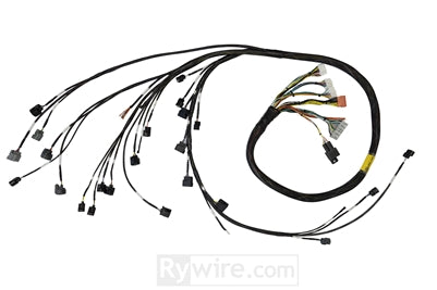 Rywire 02-04 K-Series RWD Mil-Spec Engine Harness w/Chassis Specific Adapter