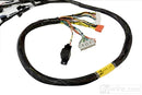 Rywire 02-04 K-Series RWD Mil-Spec Engine Harness w/Chassis Specific Adapter-2