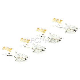 VW Tail Light Bulb Set - Flosser KIT-02919