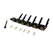 Mercedes Ignition Coil Kit - Delphi 2769067900