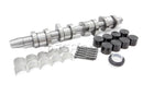 VW Camshaft Service Kit - Kolbenschmidt 524678-1