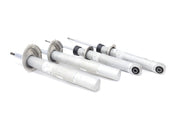 BMW Strut and Shock Kit (E39) - 31312229613KT