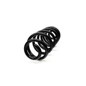 BMW Coil Spring - Lesjofors 4208476