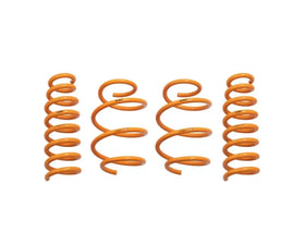 ARK GT-F Lowering Springs Kia Stinger 2018+