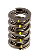 AFR Pacaloy Solid Roller Spring 1.550 OD PAC #1225. Ea.-1