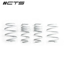 CTS Turbo F55/F56 Mini Cooper/Cooper S/JCW Lowering Springs-1