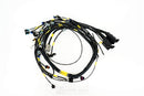 Rywire GM LS3 V8 E38 ECU Engine Harness w/Bosch MAP Option (Req PDM/Fuse Box/Mating Connector)-1