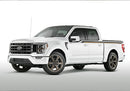 Ford Racing 15-23 F-150 22in Wheel Kit - Sinister Bronze-6