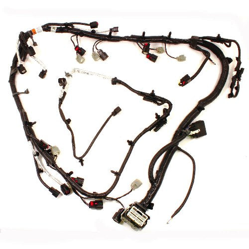 Ford Racing 5.0L Coyote Engine Harness