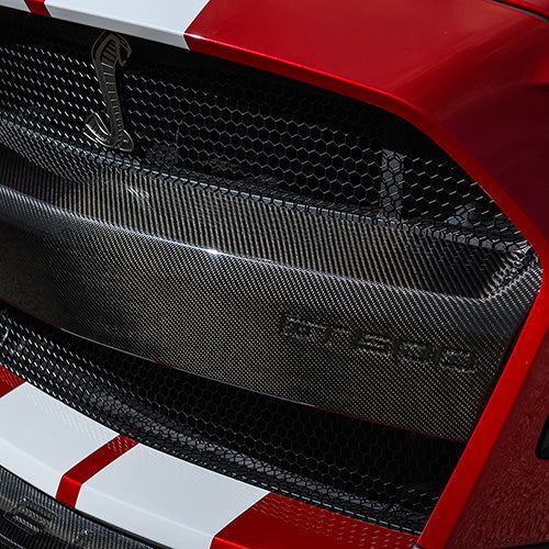 Ford Racing 20-21 Mustang GT500 Carbon Fiber Bumper Insert