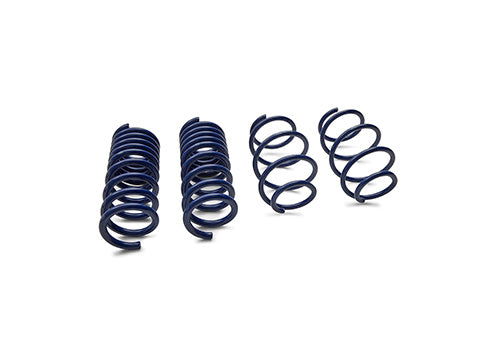 Ford Racing 15-24 Mustang Street Lowering Spring Kit