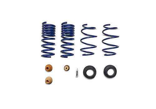 Ford Racing 15-24 Mustang Street Lowering Spring Kit