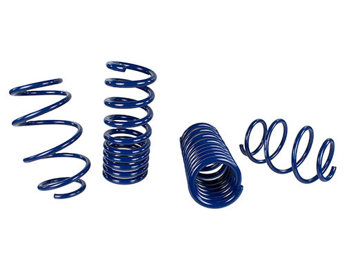 Ford Racing 15-24 Mustang Street Lowering Spring Kit