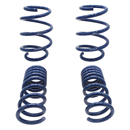2015-2020 MUSTANG GT350 LOWERING SPRINGS
