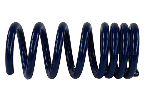 2015-2020 MUSTANG GT350 LOWERING SPRINGS